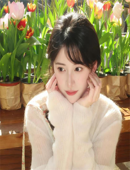 影视评论：《妙先生》的艺术价值与娱乐性平衡